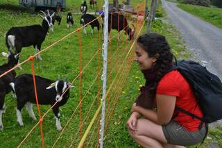 A picture of me with some goats!